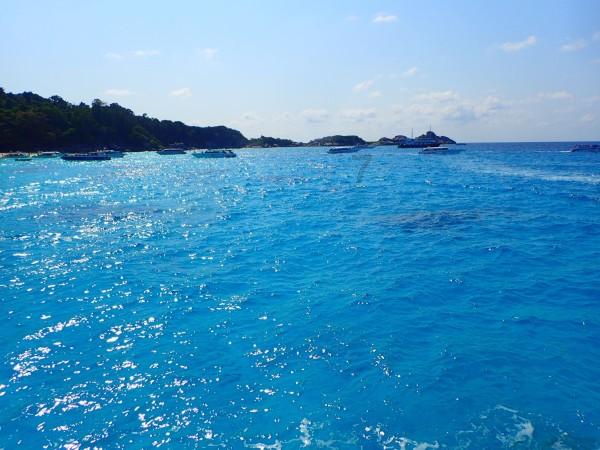 一个大问题
